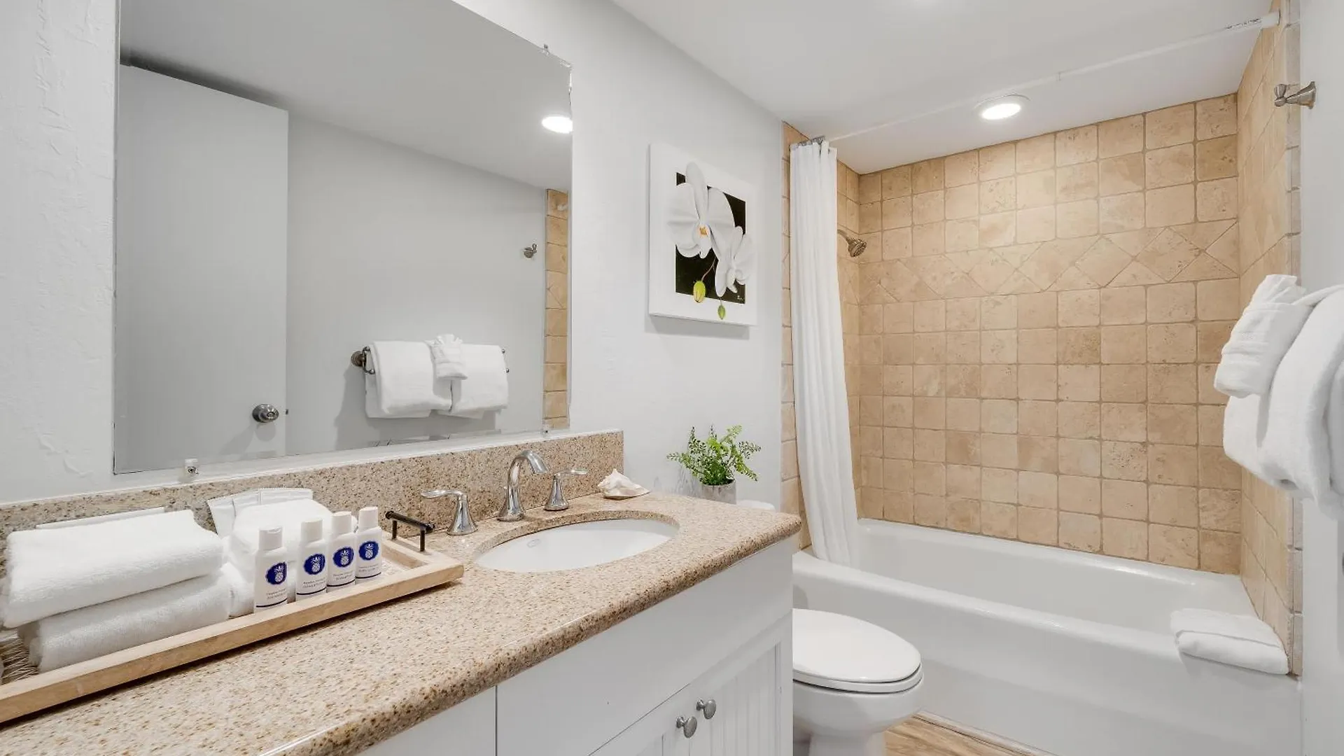 Prázdninový dům Kaanapali Shores 725 Kahana