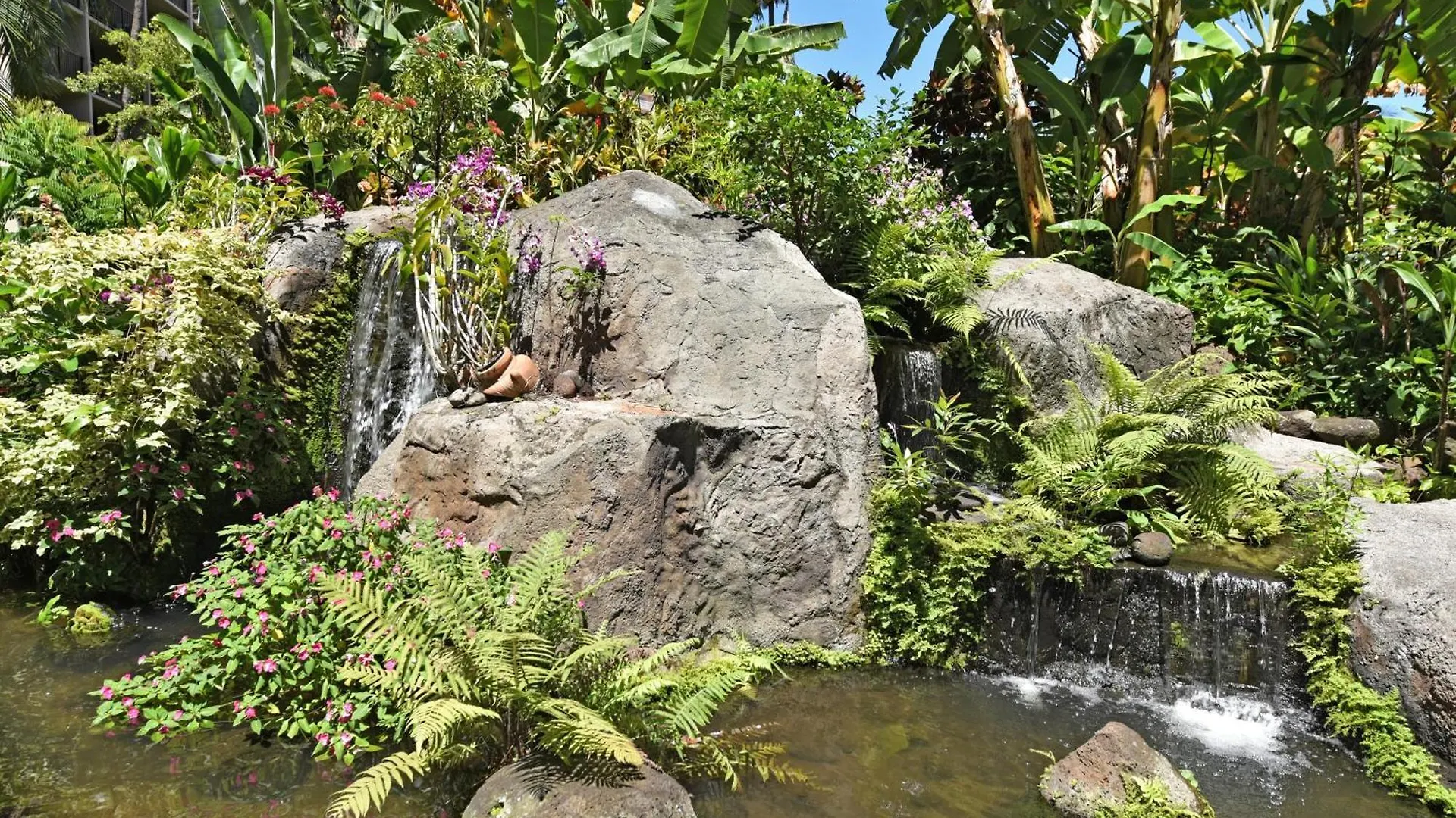 Prázdninový dům Kaanapali Shores 725 Kahana USA
